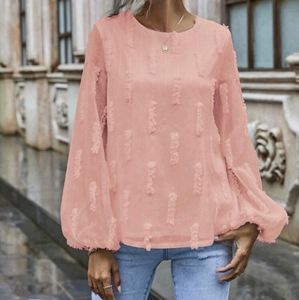 Bishop sleeve blouse